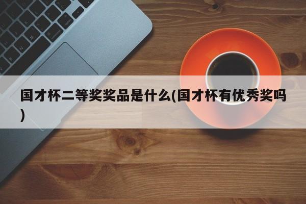 国才杯二等奖奖品是什么(国才杯有优秀奖吗)