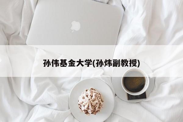 孙伟基金大学(孙炜副教授)