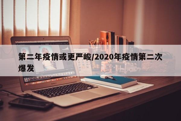 第二年疫情或更严峻/2020年疫情第二次爆发