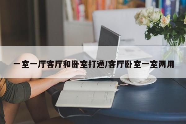 一室一厅客厅和卧室打通/客厅卧室一室两用