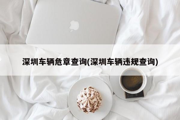 深圳车辆危章查询(深圳车辆违规查询)