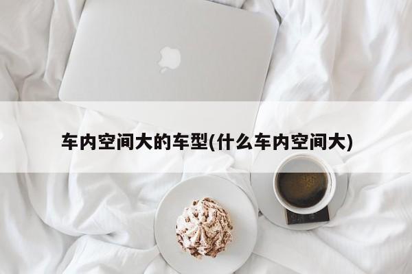 车内空间大的车型(什么车内空间大)