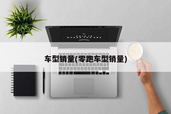 车型销量(零跑车型销量)