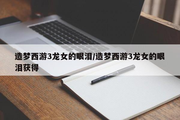 造梦西游3龙女的眼泪/造梦西游3龙女的眼泪获得