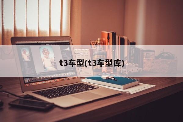 t3车型(t3车型库)