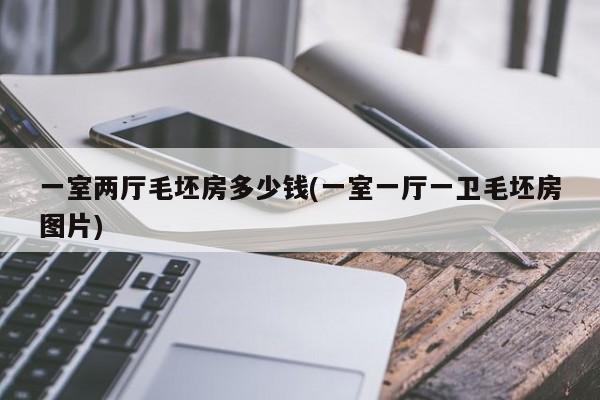 一室两厅毛坯房多少钱(一室一厅一卫毛坯房图片)