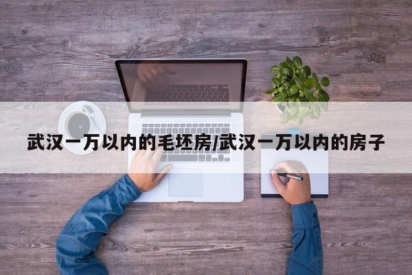 武汉一万以内的毛坯房/武汉一万以内的房子