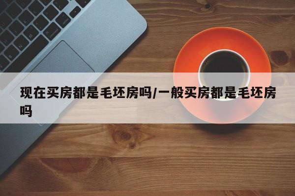 现在买房都是毛坯房吗/一般买房都是毛坯房吗