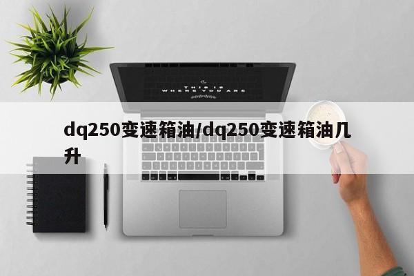 dq250变速箱油/dq250变速箱油几升