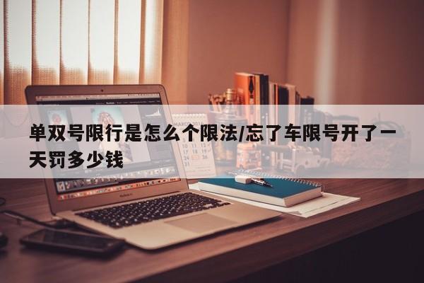 单双号限行是怎么个限法/忘了车限号开了一天罚多少钱