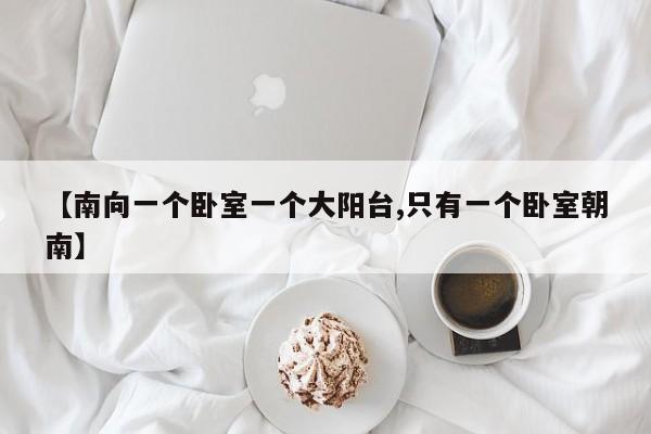 【南向一个卧室一个大阳台,只有一个卧室朝南】
