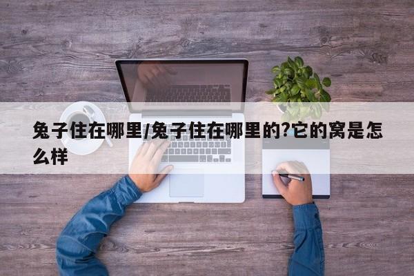 兔子住在哪里/兔子住在哪里的?它的窝是怎么样
